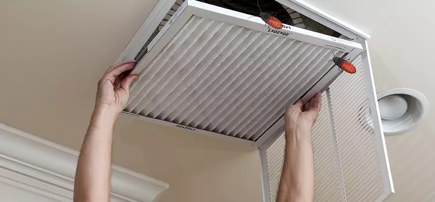 Preventive Cockroach-Proofing for Ducts in Dearborn