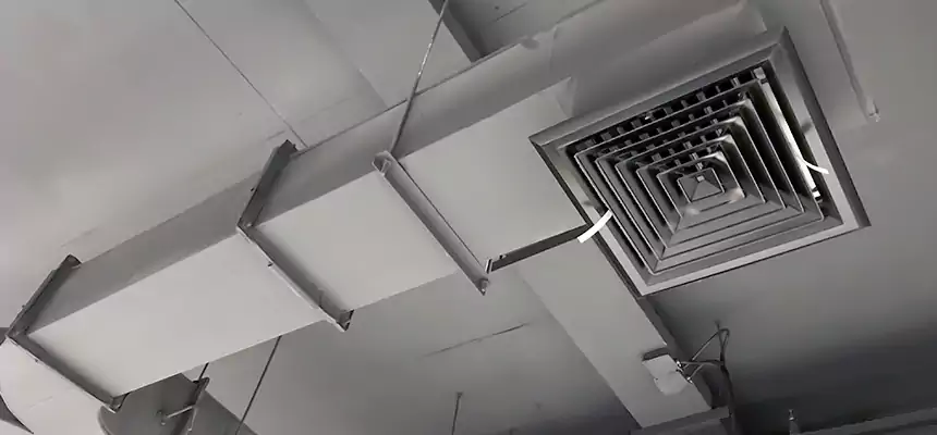 Restorative Allergy Relief Vent Cleaning – Coil, Blower & Housing Detail in Dearborn