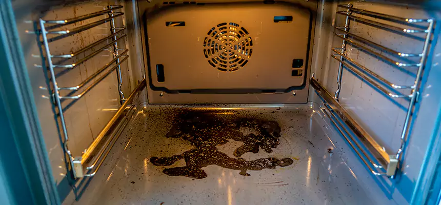 Our Dryer Vent Mold Cleaning Services in Dearborn, MI