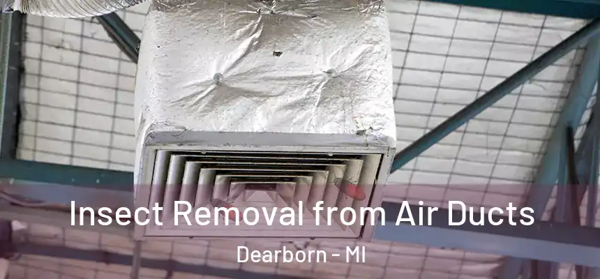 Insect Removal from Air Ducts Dearborn - MI