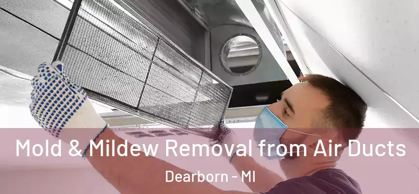 Mold & Mildew Removal from Air Ducts Dearborn - MI
