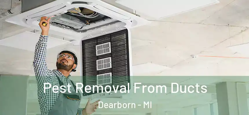 Pest Removal From Ducts Dearborn - MI
