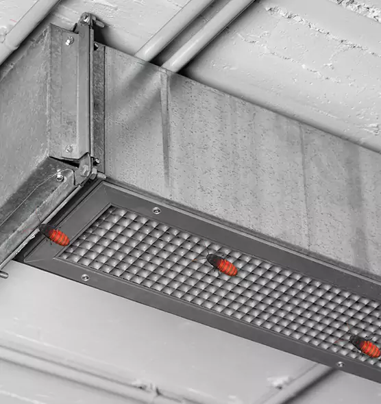 About Air Duct Cockroach Removal in Dearborn, MI