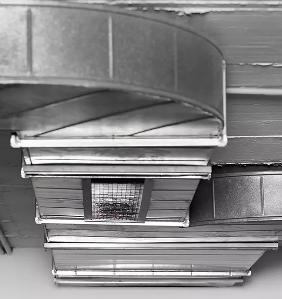 Professional Air Duct Pest Removal in Dearborn, MI