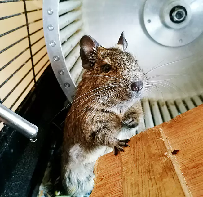 Why Homeowners & Businesses Trust Us Dearborn, MI